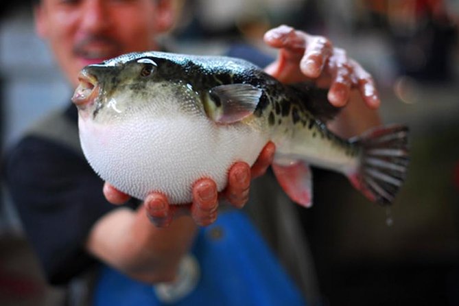 Adventurous Japanese Food Tour in Tokyo - Key highlights worth marking on your mental map