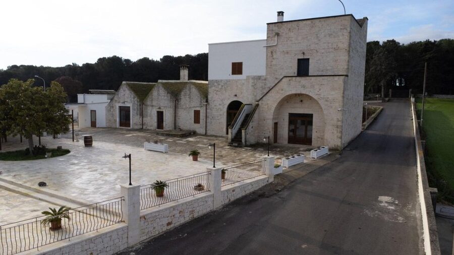 Alberobello: Winery Tour with Wine and Food Tasting - Key highlights you’ll care about