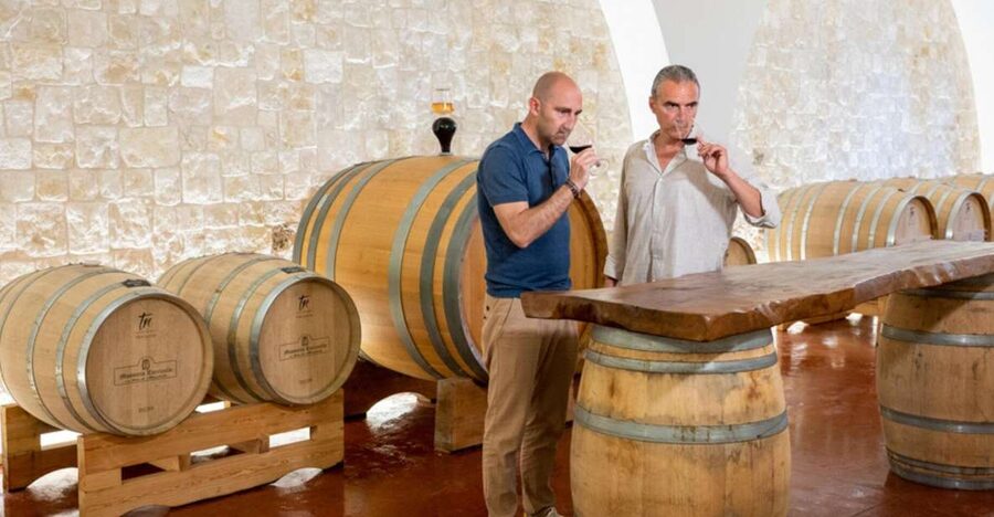 Alberobello: Winery Tour with Wine and Food Tasting - The four-wine flight: Minutolo, Aurora rosè, Cabernet Sauvignon, Primitivo