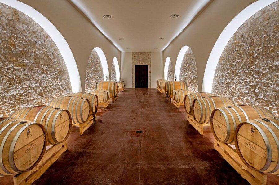 Alberobello: Winery Tour with Wine and Food Tasting - Food pairings that teach you Apulia, not just fill plates