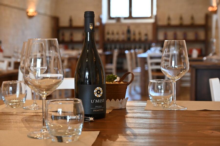 Alberobello: Winery Tour with Wine and Food Tasting - Who this tour suits best (and who should rethink it)