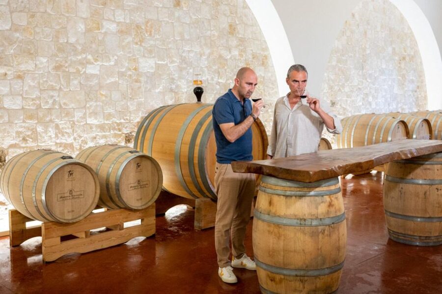 Alberobello: Winery Tour with Wine and Food Tasting - Entering the vineyard and winery: what you’re really paying for