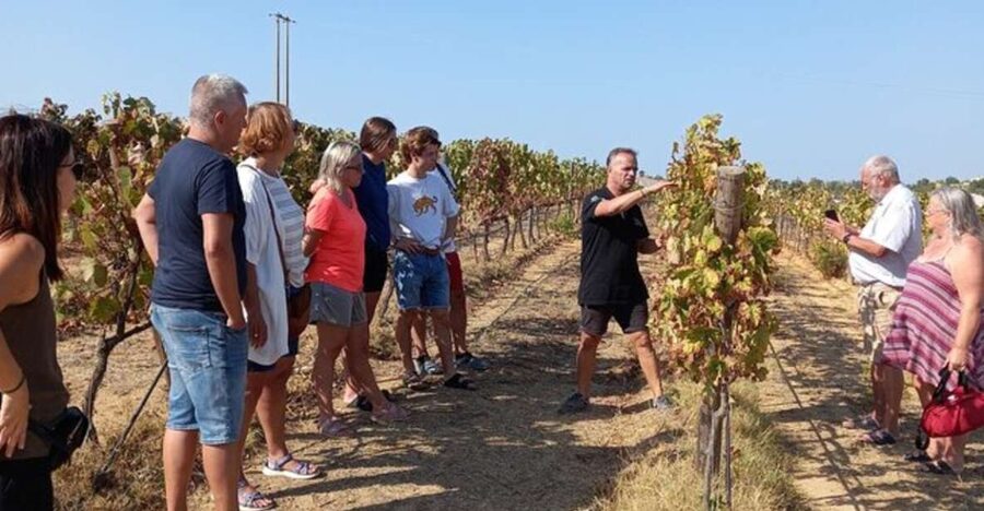 Albufeira/Vilamoura: Winery Tour with Wine Tasting and Tapas - Tapas pairing plus the warm finale you’ll smell first
