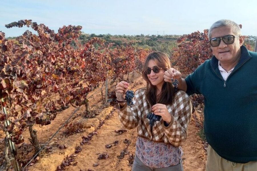 Albufeira/Vilamoura: Winery Tour with Wine Tasting and Tapas - The tasting flight: pairing Portuguese flavors with real grapes