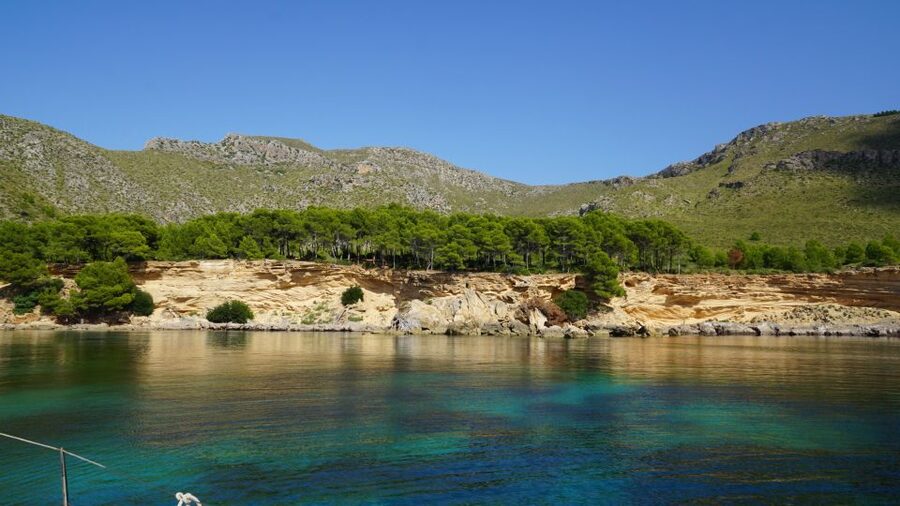 Alcudia: Sailing Yacht Excursion with Wine & Tapas - Price and value: what $147 buys you on this 4-hour sea day