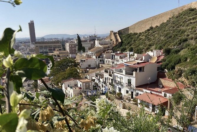Alicante Historic Small Group Tour with Tapas Tasting - Small-Group Logistics: Meeting Point, Pace, and How It Feels