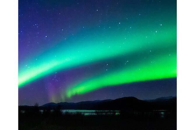 Aurora Borealis Tour in Kiruna - Lapland with Stejk Street Food - Price and Value: What $199.93 Buys in the Real Arctic