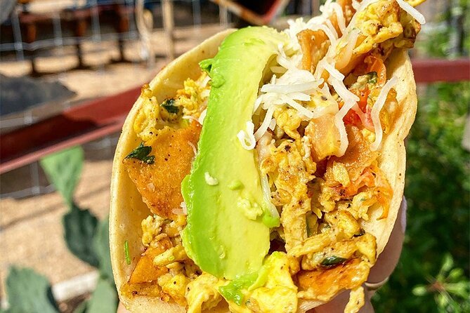 Austin Food Tour with Local Flavors, Tacos & 6 Food Tastings - Austin Food Tour on Two Routes: Downtown vs SoCo