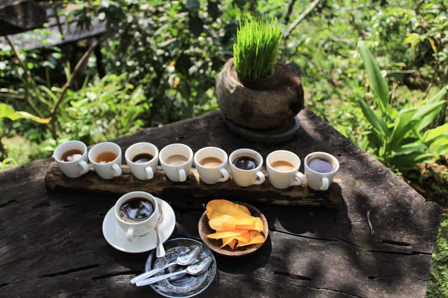 Bali: Authentic Culinary Street Food Experience Tour - A Day Built Around Food, Not Famous Sights