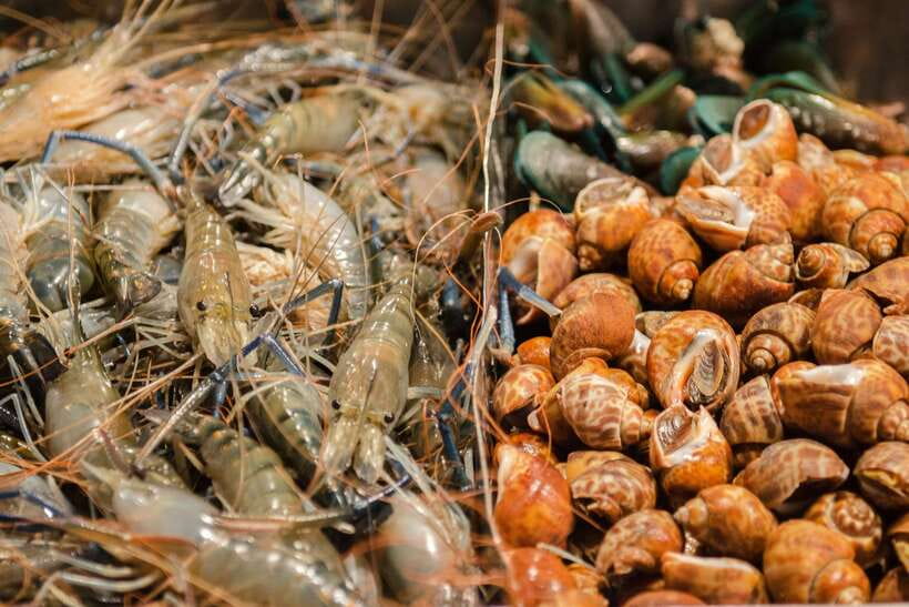 Bangkok: Chinatown Night Food Tour - Your 7 Tasting Stops: How the Food Plan Works