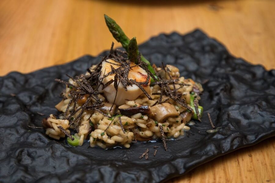 Barcelona Gourmet Food & Wine Tour with Local Expert - Who This Tour Fits Best (and Who Might Skip It)