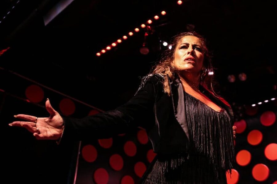 Barcelona: Tapas and Flamenco Experience - The flamenco theater: what you’re paying for (and what to expect)