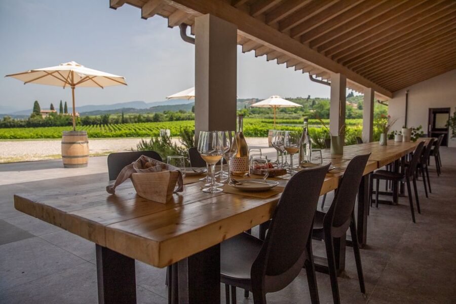 Bardolino: Vineyard Tour with Wine and Food Tasting - Barrel room stop: seeing aging, then tasting its effect
