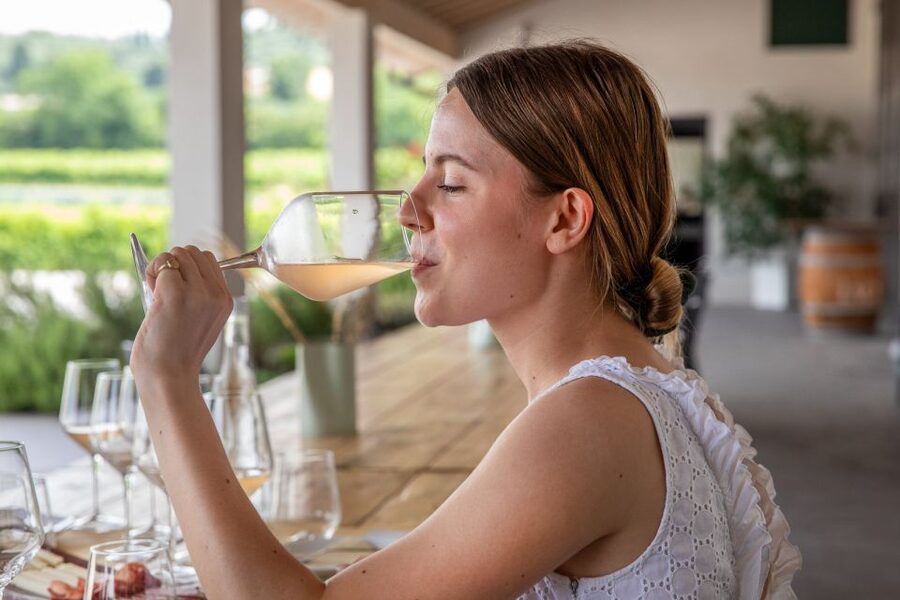 Bardolino: Vineyard Tour with Wine and Food Tasting - Food pairing: Monte Veronese cheese and local Soppres