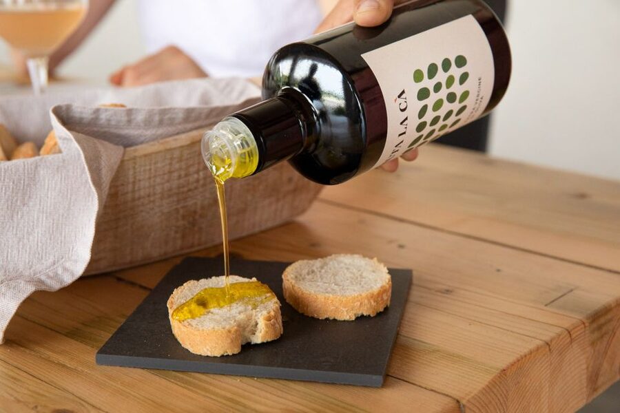 Bardolino: Vineyard Tour with Wine and Food Tasting - Price and value: is $53 worth it?
