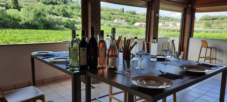 Bardolino: Vineyard Tour with Wine, Olive Oil & Food Tasting - Entering the hills above Bardolino: what this tour feels like