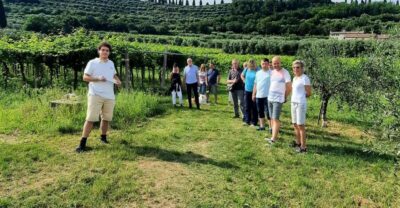 Bardolino: Vineyard Tour with Wine, Olive Oil & Food Tasting - Where to meet and how to start smoothly at Agriturismo La Rocca