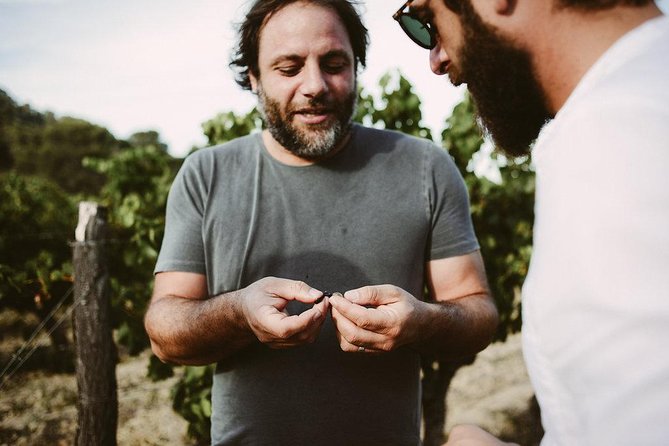 Bertrand Bosc wine and food tour in Pic St Loup - Key highlights that matter