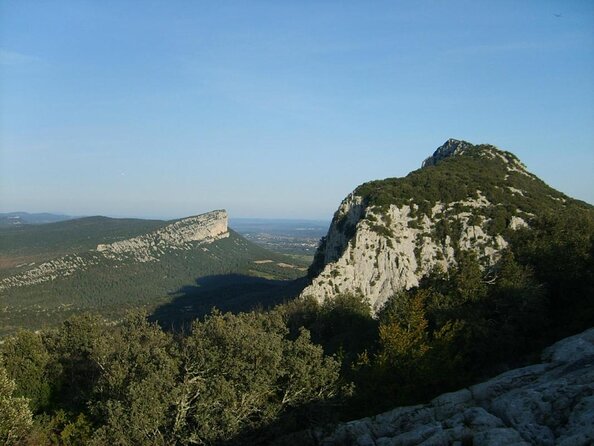 Bertrand Bosc wine and food tour in Pic St Loup - Stop 1 at Mas Gourdou: vineyard walking and first tastings