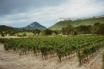 Bertrand Bosc wine and food tour in Pic St Loup - Pickup in Montpellier: where to meet and how the drive works