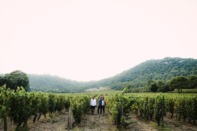 Bertrand Bosc wine and food tour in Pic St Loup - How the terroir lesson stays practical (not just theory)