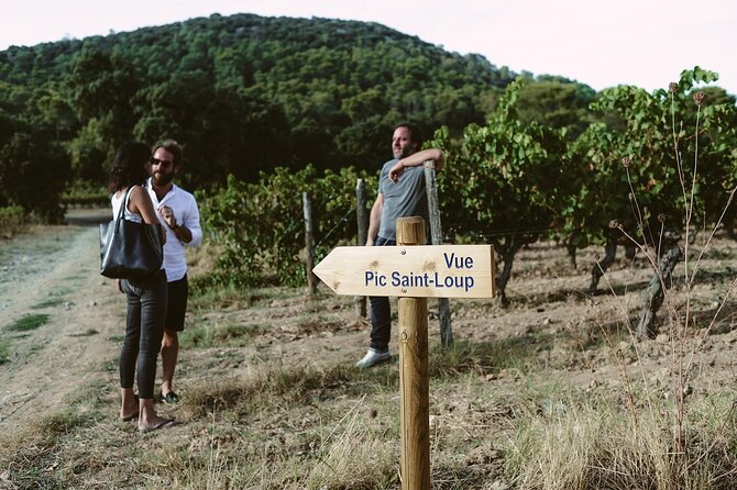 Bertrand Bosc wine and food tour in Pic St Loup - Maison des Consuls area: medieval village wandering with wine in hand