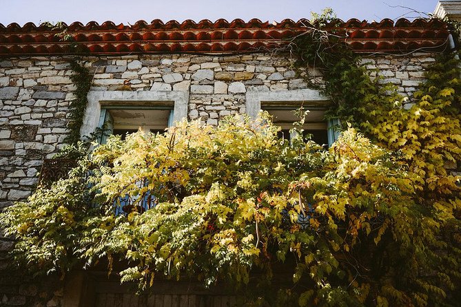 Bertrand Bosc wine and food tour in Pic St Loup - Valflaunes countryside road trip: the in-between moments count