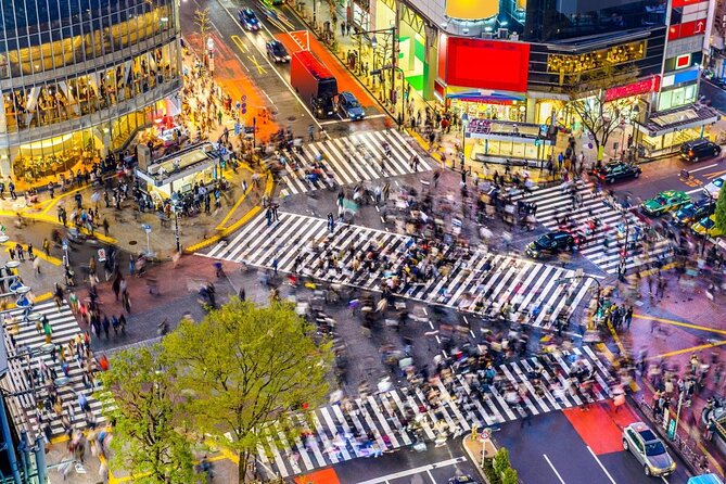Best of Shibuya Food Tour - Key Points to Know Before You Go