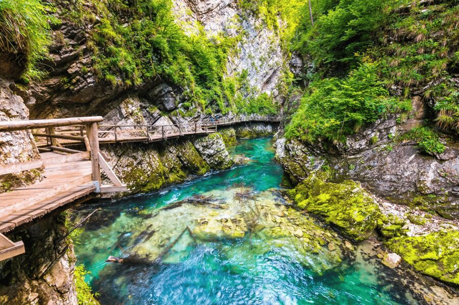 Bled: Vintgar Gorge Best Experience and Food Tasting - Your self-paced gorge walk: boardwalks, bridges, and a waterfall-focused route
