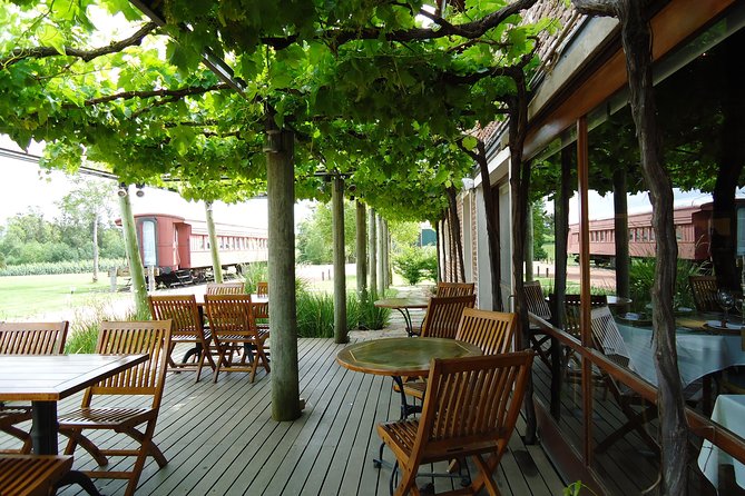 Bouza Winery Tastings and Tapas (Esp, Eng, Port) - Bouza Bodega Boutique tour: vineyards, winery, and cava in about 45 minutes