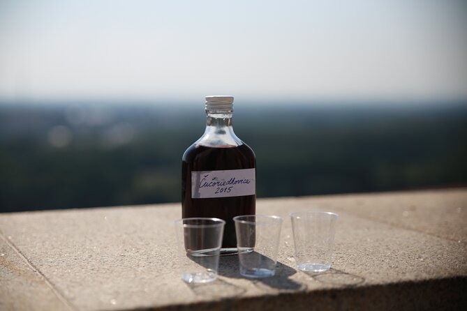 Bratislava Foodie Tour - Price and value: what $157.28 buys you (and when it feels fair)