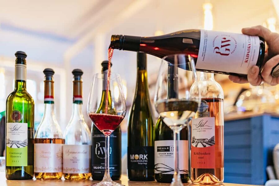 Budapest: Hungarian Wine Tasting with 7 Wines and Tapas - Red wine lineup: furmint story plus kadarka and Bull’s Blood