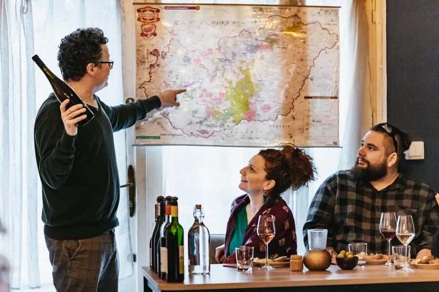 Budapest: Hungarian Wine Tasting with 7 Wines and Tapas - Meet the guide: Miki or Luca and the friendly vibe