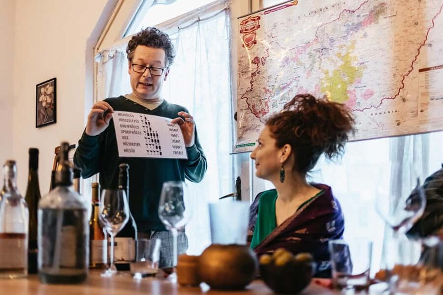 Budapest: Hungarian Wine Tasting with 7 Wines and Tapas - Logistics that affect your comfort: timing, location, group flow