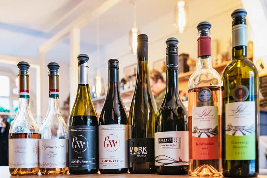 Budapest: Hungarian Wine Tasting with 8 Wines and Tapas - Stops, pacing, and what you’ll actually do during the experience