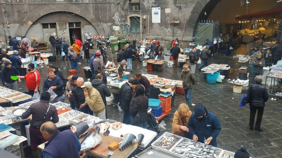 Catania Street Food Tour: Fish Market & City Centre - Cannoli and sweet finishing points (where you actually get full)