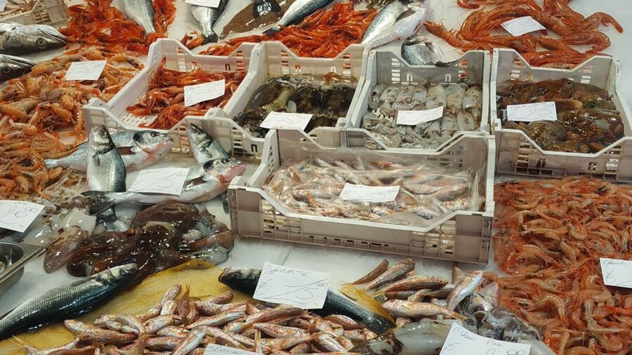 Catania Street Food Tour: Fish Market & City Centre - Pescheria fish market in the morning: sensory + useful