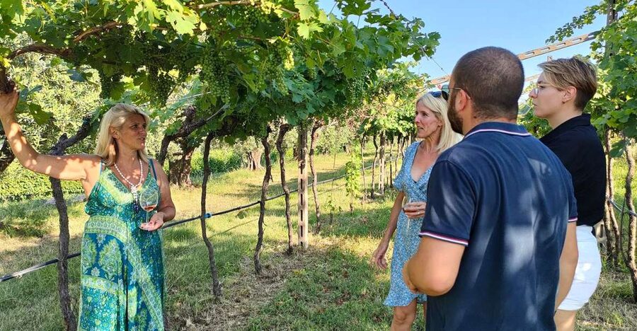 Cavaion: Lake Garda Wine & Food Tasting with Vineyard Tour - Quick hits