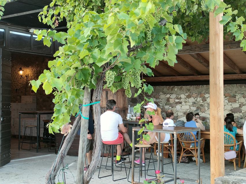 Cavaion: Lake Garda Wine & Food Tasting with Vineyard Tour - Cavaion and Lake Garda’s Inland Wine Scene