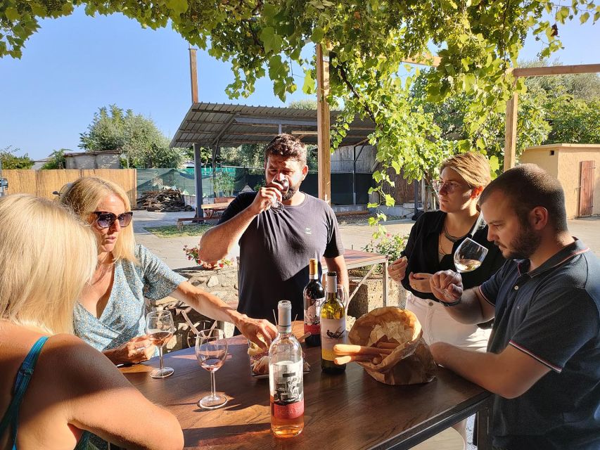 Cavaion: Lake Garda Wine & Food Tasting with Vineyard Tour - Should You Book This Cavaion Wine and Food Tasting?