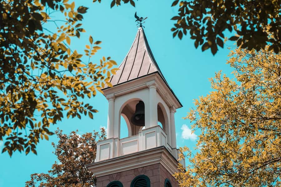 Charleston: 3-Hour Secret Food Tour - Pacing, walking, and how to be comfortable