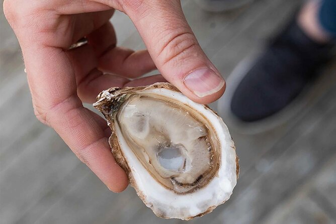 Charlottetown Food Walking Tour - Lobster on the Wharf: oyster shucking and the moonshine shot