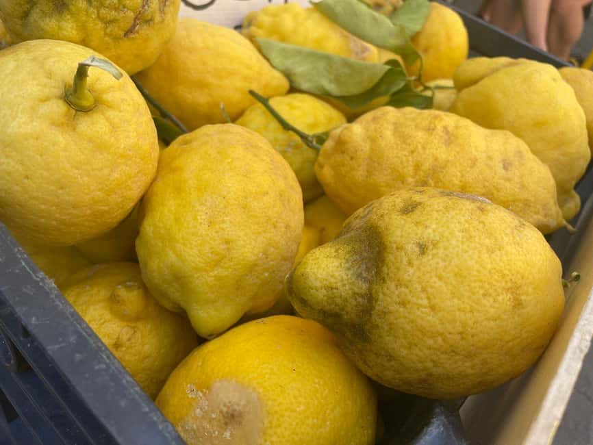 Civitavecchia: Historical and Culinary Walking Tour - Wine and regional bites to finish at Piazza Antonio Fratti