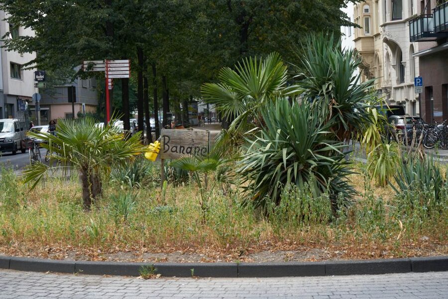 Cologne: Südstadt Guided Foodie Walking Tour - The Stories That Give You Context: House Balchem and St. Severin