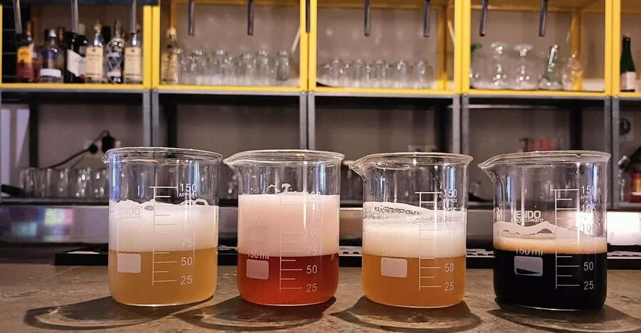 Craft Beer Tasting and tapas in Valencia - The pairing method: 4 beers, 4 market tapas, matched by flavor