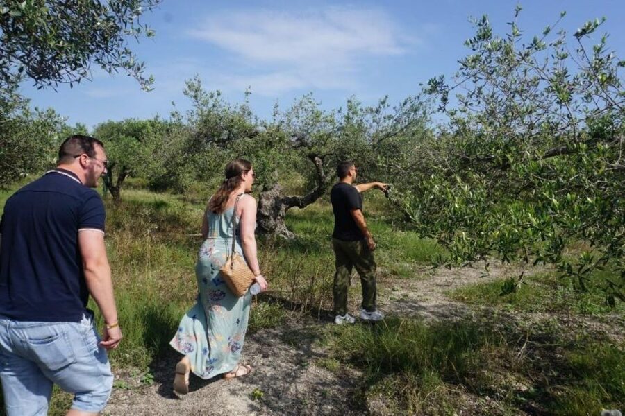 Crete: Full-Day Cretan Wines, Olive Oil, Raki and Food Tour - Thrapsano Pottery Workshop: Hands-On Clay Time