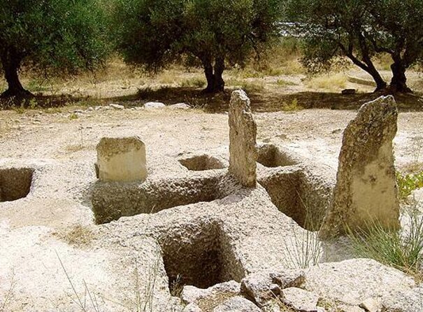 Crete: Olive Oil, Soap, Wine, Raki - Flavorful Culinary Journey - Olive Oil, Soap, Wine, and Raki: What You’ll Really Do