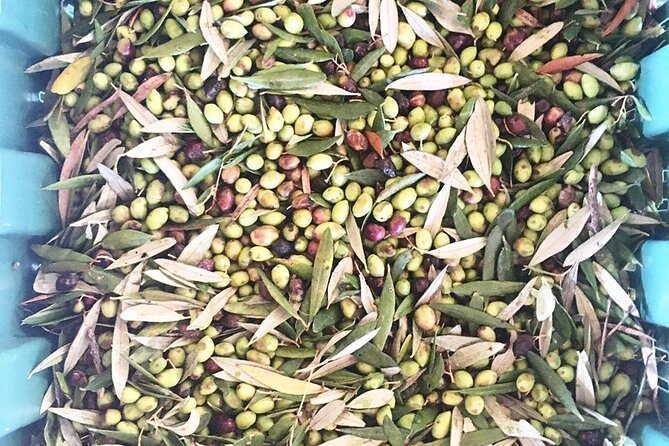 Crete: Olive Oil, Soap, Wine, Raki - Flavorful Culinary Journey - Practical Tips Before You Go (So the Day Feels Easy)
