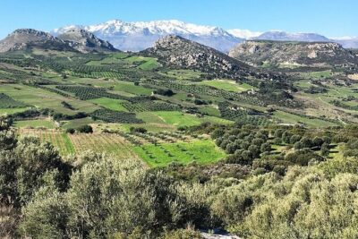 Crete: Olive Oil, Soap, Wine, Raki - Flavorful Culinary Journey - Group Size, Pacing, and the Role of the Driver/Guide