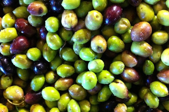 Crete: Olive Oil, Soap, Wine, Raki - Flavorful Culinary Journey - Who This Tour Fits Best